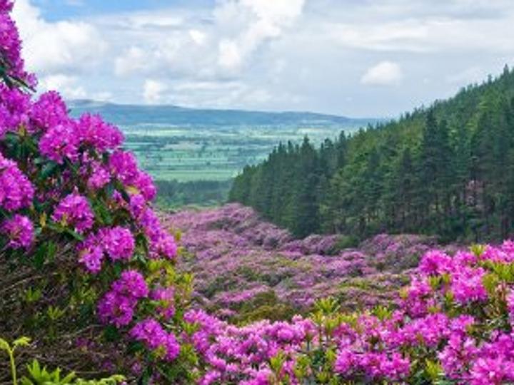 Cahir House Hotel | TIPPERARY | 6